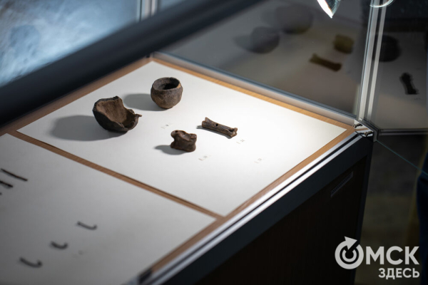 Для Тары разрабатывают мастер-план развития на ближайшее десятилетие Для Тары разрабатывают мастер-план развития на ближайшее десятилетие