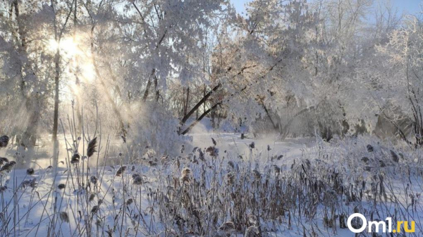 До -36 градусов: аномальные морозы накроют Омскую область