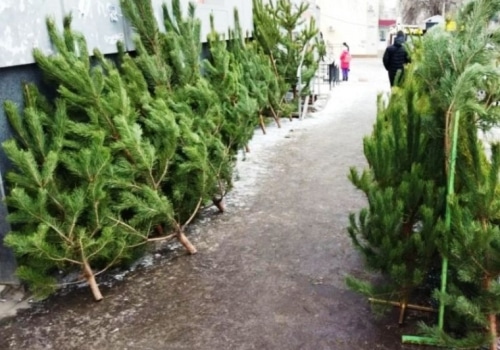 Депутат Госдумы призвал сократить новогодние выходные