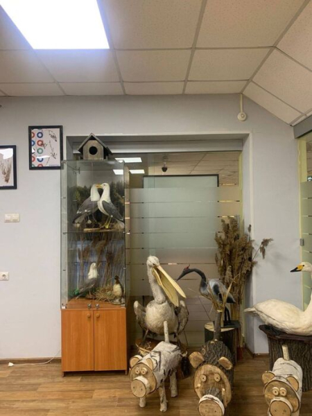 "Птичья гавань" получит собственный музей