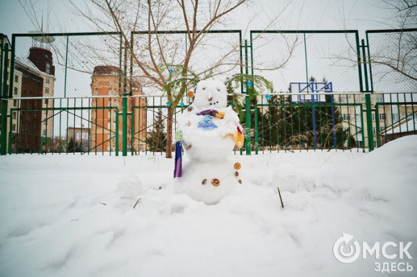 Не для слабонервных. В Омске наградили авторов самых креативных снеговиков