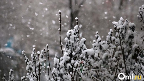 После мощных морозов омичей ждёт ещё один неприятный сюрприз от погоды
