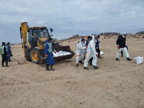 Омичи продолжают присоединяться к команде по спасению черноморского побережья Омичи продолжают присоединяться к команде по спасению черноморского побережья