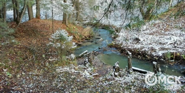 "ИдиЛесом", или Как рассказать другим о красивых местах Омской области "ИдиЛесом", или Как рассказать другим о красивых местах Омской области