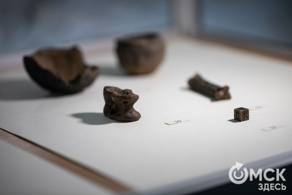 Для Тары разрабатывают мастер-план развития на ближайшее десятилетие Для Тары разрабатывают мастер-план развития на ближайшее десятилетие