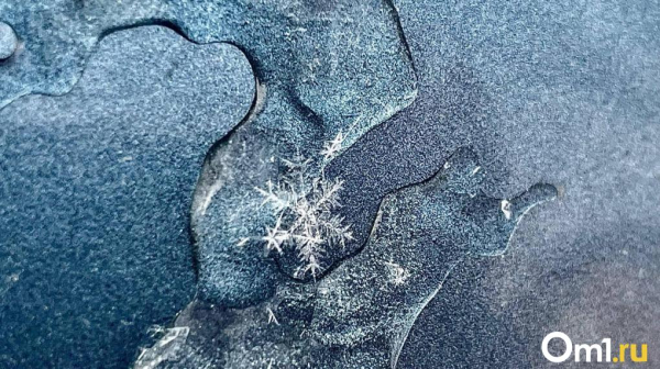 До -31 градуса: конец февраля в Омске будет морозным До -31 градуса: конец февраля в Омске будет морозным