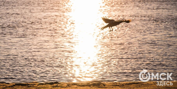 Поднимая локальный туризм: какие территории "Пяти озёр" выбрали для инвесторов Поднимая локальный туризм: какие территории "Пяти озёр" выбрали для инвесторов