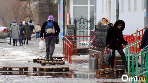 Синоптики назвали дату, когда в Омске потеплеет до плюсовых значений