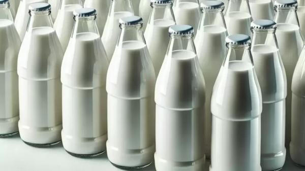 Омичей предупредили об опасной молочной продукции от пяти «предприятий-призраков» Омичей предупредили об опасной молочной продукции от пяти «предприятий-призраков»