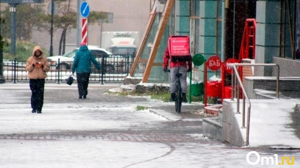 Весной не пахнет: к марту Омскую область завалит снегом