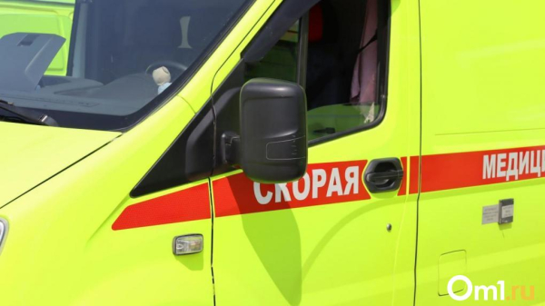 Под Омском автобус съехал в кювет, пострадали люди