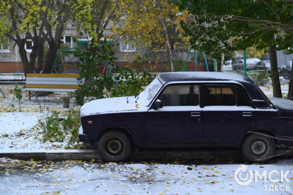 С признаками жизни, но не той: по Омску станут собирать "забытые" авто С признаками жизни, но не той: по Омску станут собирать "забытые" авто
