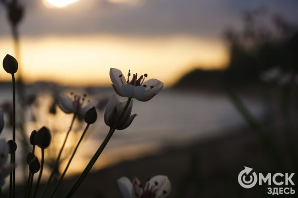 Поднимая локальный туризм: какие территории "Пяти озёр" выбрали для инвесторов Поднимая локальный туризм: какие территории "Пяти озёр" выбрали для инвесторов