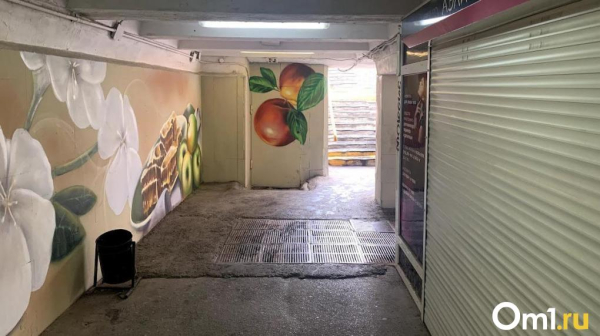 Новый подрядчик планирует ремонт переходов у Театральной площади и «Яблоньки» в Омске