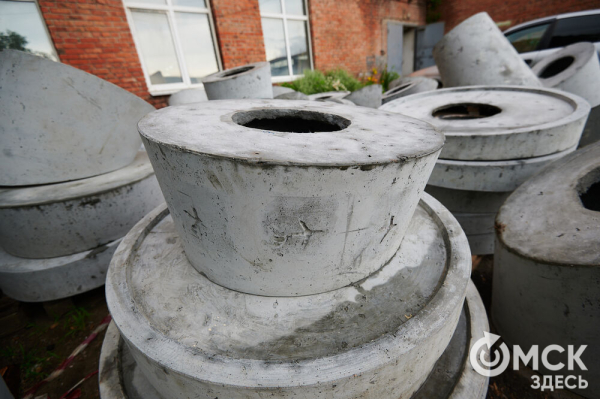 Весна пришла в Омск: вернулись журавли и хохлатая чернеть, проснулись зайки и сурки Весна пришла в Омск: вернулись журавли и хохлатая чернеть, проснулись зайки и сурки