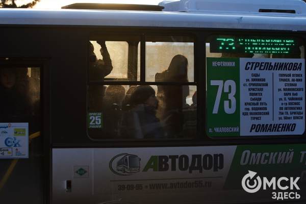 Больше самокатов вместо регулируемых маршрутов: как передвигаться по Омску