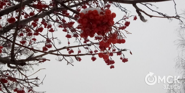 Погодные капризы: начало марта испытывает омичей на прочность