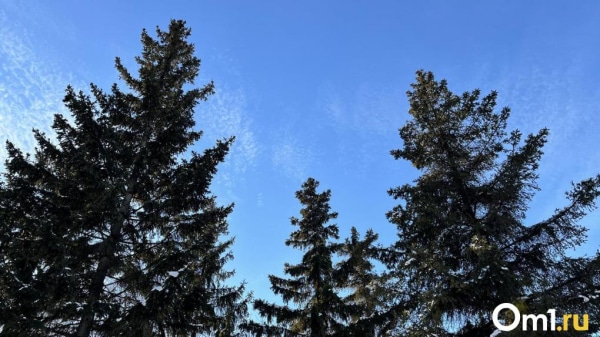 В Омской области ожидается потепление до +10 градусов в ближайшие дни