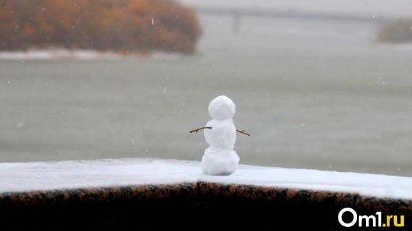 Снег, метель и заносы: на выходных в Омскую область вернётся зима