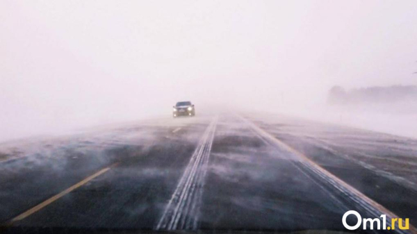 Омскую область накроют метель и сильный ветер