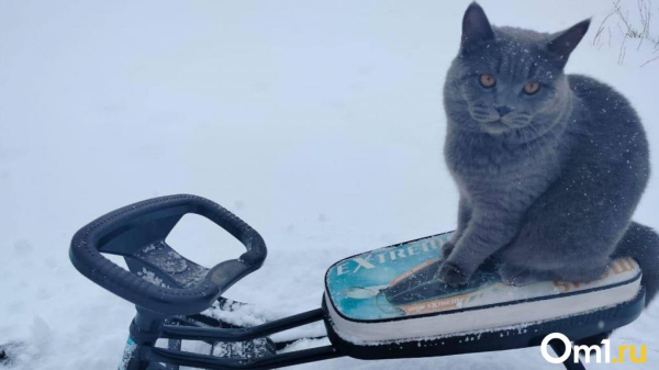Омскую область завалит снегом в начале марта