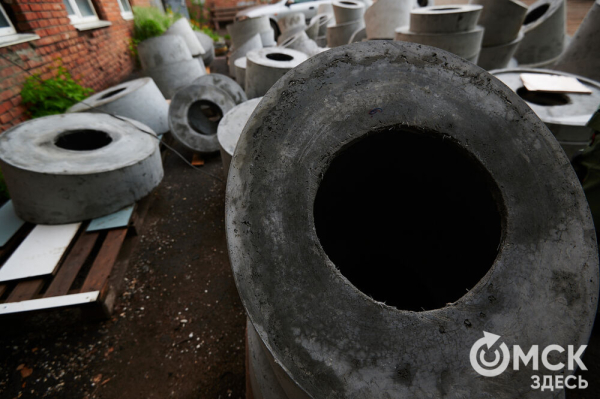 Весна пришла в Омск: вернулись журавли и хохлатая чернеть, проснулись зайки и сурки Весна пришла в Омск: вернулись журавли и хохлатая чернеть, проснулись зайки и сурки