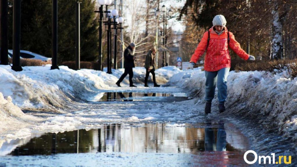 К концу недели на Омскую область обрушится ледяной дождь