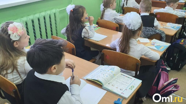 Названы школы Омской области с самыми пожилыми педагогами