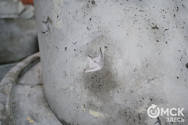 Весна пришла в Омск: вернулись журавли и хохлатая чернеть, проснулись зайки и сурки Весна пришла в Омск: вернулись журавли и хохлатая чернеть, проснулись зайки и сурки