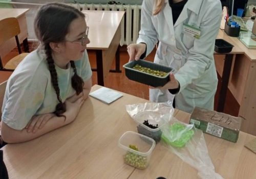 Плодородная почва: в Омской области готовят кадры для полей