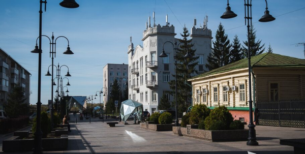 Панорамные виды на "сибирский замок" в Омске возьмут под защиту