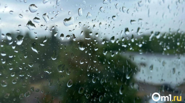 Сильный ветер с порывами до 20 метров в секунду обрушится на Омскую область