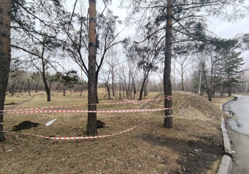 В Омске на ул. Хмельницкого будет парк альпак