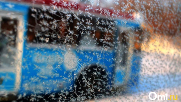 Заморозки до -5 градусов: в Омскую область вместе с грозами придёт резкое похолодание