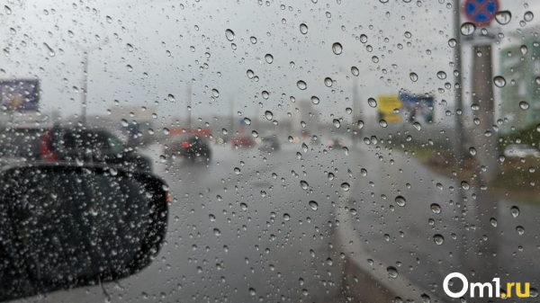 В Омске обещают град и ухудшение погоды в конце апреля