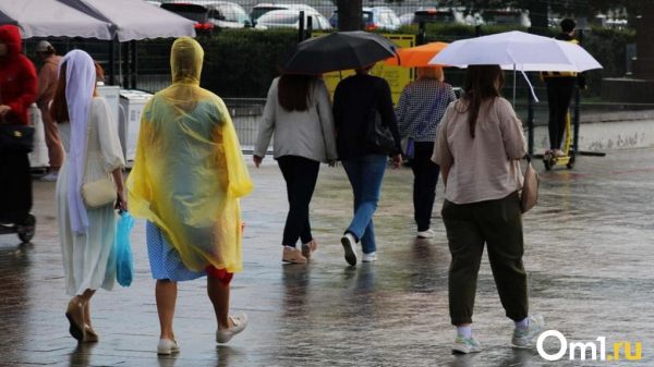 В Омской области прогнозируют непогоду с дождями и сильным ветром