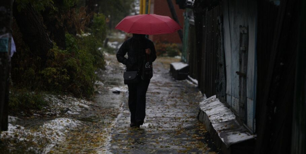 Реновация подобралась к частному сектору у парка 30-летия ВЛКСМ