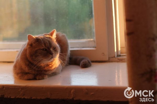 Чихаем на весну. Как не дать аллергии запереть вас дома