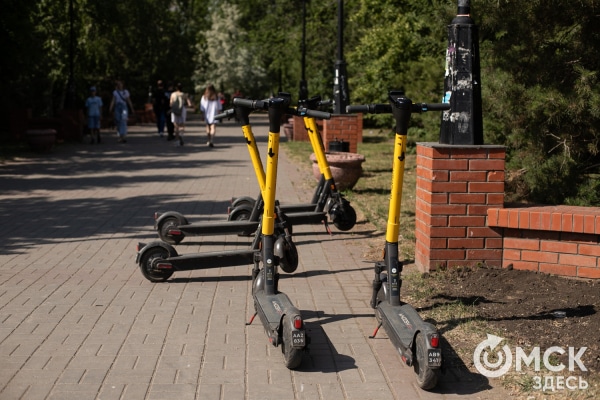 Омичи могут сообщить о нарушениях самокатчиков через чат-бот