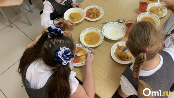 В двух школах Омска случилось массовое отравление В двух школах Омска случилось массовое отравление