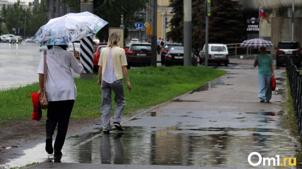 Штормовой ветер и осадки обещают синоптики в Омской области