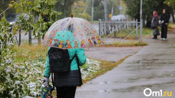Дождь, снег и гололёд: в Омской области ухудшается погода