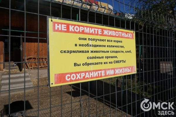 Кормить нельзя! Специалисты городского зоопарка призывают омичей к сознательности