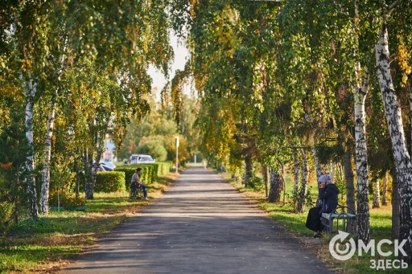 Чихаем на весну. Как не дать аллергии запереть вас дома