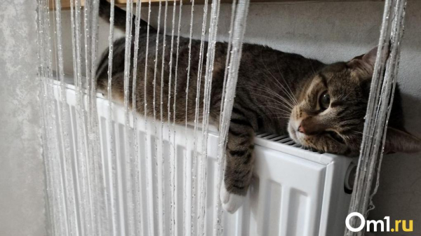 Опубликованы примерные сроки отключения отопления в Омске Опубликованы примерные сроки отключения отопления в Омске