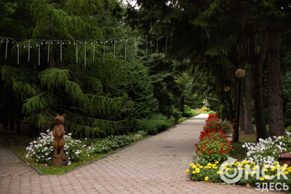 Торжество среди зелени. В омском дендросаду теперь можно жениться