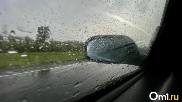 В Омской области ожидаются грозы и мощный ветер