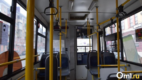 В Омске временно недоступны дистанционные способы пополнения карт «Омка» В Омске временно недоступны дистанционные способы пополнения карт «Омка»