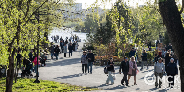 Майская погода не разочарует омичей