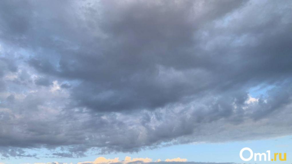 Сильный ветер и пыльная буря обрушились на Омск